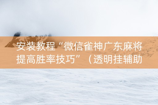 安装教程“微信雀神广东麻将提高胜率技巧”（透明挂辅助器)