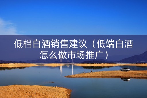 低档白酒销售建议（低端白酒怎么做市场推广）