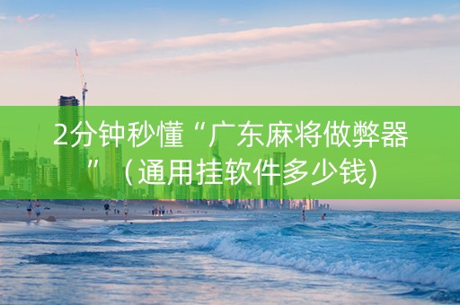 2分钟秒懂“广东麻将做弊器”（通用挂软件多少钱)