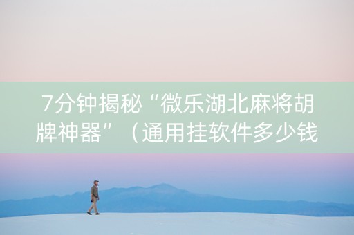 7分钟揭秘“微乐湖北麻将胡牌神器”（通用挂软件多少钱)