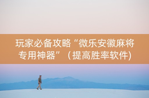 玩家必备攻略“微乐安徽麻将专用神器”（提高胜率软件)