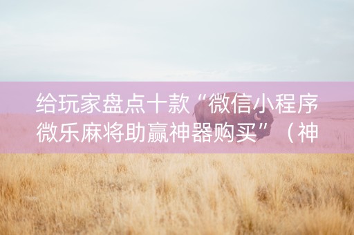 给玩家盘点十款“微信小程序微乐麻将助赢神器购买”（神器通用版)