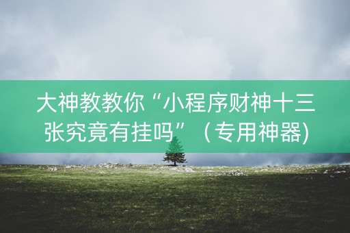 大神教教你“小程序财神十三张究竟有挂吗”（专用神器)
