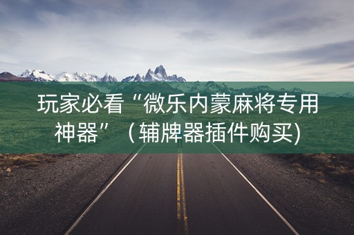玩家必看“微乐内蒙麻将专用神器”（辅牌器插件购买)