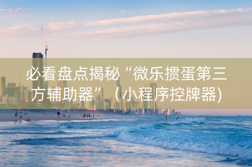 必看盘点揭秘“微乐掼蛋第三方辅助器”（小程序控牌器)