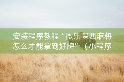 安装程序教程“微乐陕西麻将怎么才能拿到好牌”（小程序辅助软件)