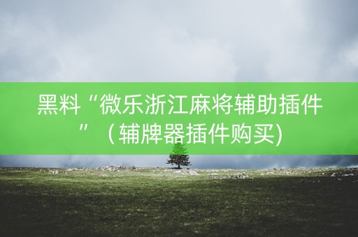 黑料“微乐浙江麻将辅助插件”（辅牌器插件购买)
