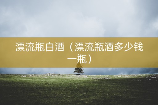 漂流瓶白酒（漂流瓶酒多少钱一瓶）