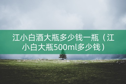 江小白酒大瓶多少钱一瓶（江小白大瓶500ml多少钱）
