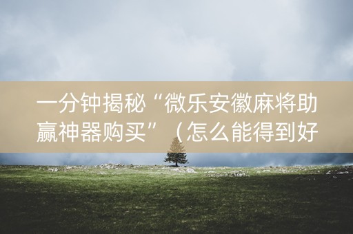 一分钟揭秘“微乐安徽麻将助赢神器购买”（怎么能得到好牌)