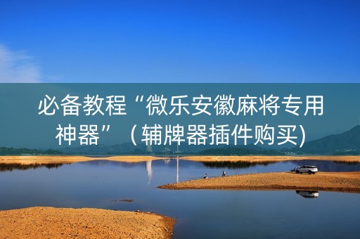 必备教程“微乐安徽麻将专用神器”（辅牌器插件购买)