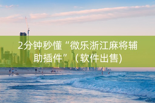 2分钟秒懂“微乐浙江麻将辅助插件”（软件出售)