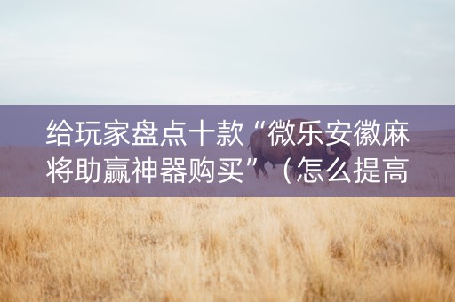 给玩家盘点十款“微乐安徽麻将助赢神器购买”（怎么提高胜率)