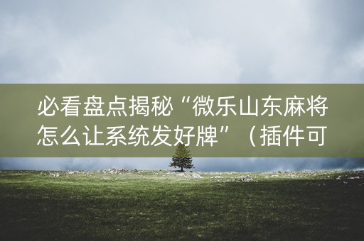 必看盘点揭秘“微乐山东麻将怎么让系统发好牌”（插件可信吗)