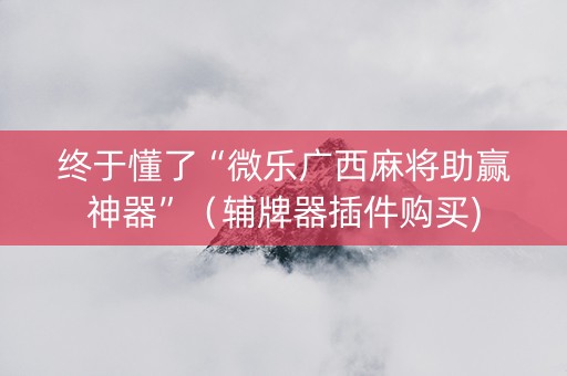 终于懂了“微乐广西麻将助赢神器”（辅牌器插件购买)