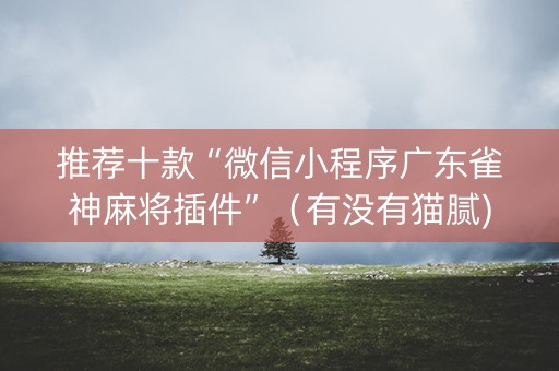 推荐十款“微信小程序广东雀神麻将插件”（有没有猫腻)