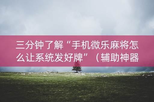 三分钟了解“手机微乐麻将怎么让系统发好牌”（辅助神器免费)