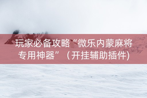 玩家必备攻略“微乐内蒙麻将专用神器”（开挂辅助插件)