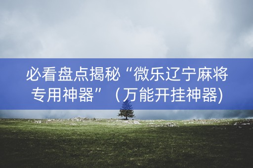 必看盘点揭秘“微乐辽宁麻将专用神器”（万能开挂神器)