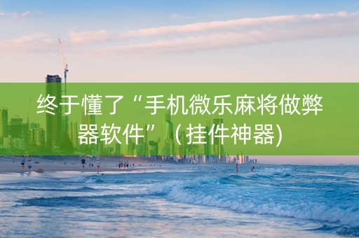 终于懂了“手机微乐麻将做弊器软件”（挂件神器)