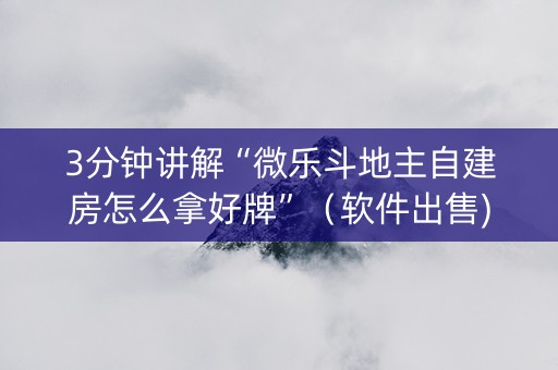 3分钟讲解“微乐斗地主自建房怎么拿好牌”（软件出售)