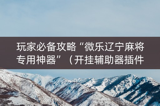 玩家必备攻略“微乐辽宁麻将专用神器”（开挂辅助器插件)