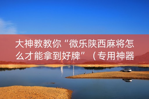 大神教教你“微乐陕西麻将怎么才能拿到好牌”（专用神器下载)