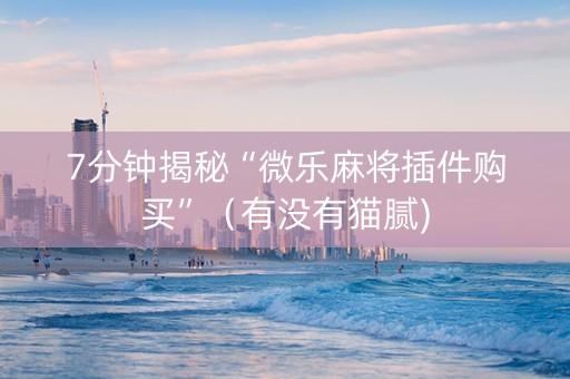 7分钟揭秘“微乐麻将插件购买”（有没有猫腻)