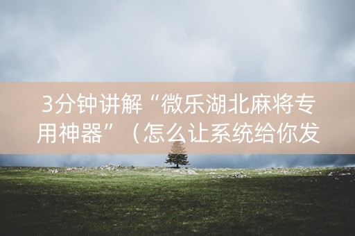 3分钟讲解“微乐湖北麻将专用神器”（怎么让系统给你发好牌)