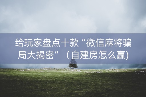 给玩家盘点十款“微信麻将骗局大揭密”（自建房怎么赢)