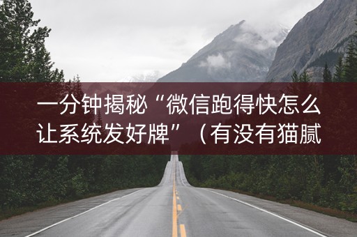 一分钟揭秘“微信跑得快怎么让系统发好牌”（有没有猫腻)