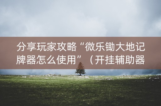 分享玩家攻略“微乐锄大地记牌器怎么使用”（开挂辅助器脚本)