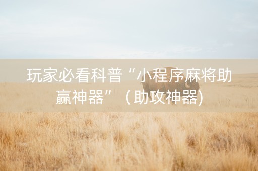 玩家必看科普“小程序麻将助赢神器”（助攻神器)
