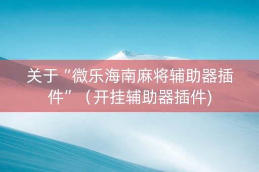 关于“微乐海南麻将辅助器插件”（开挂辅助器插件)