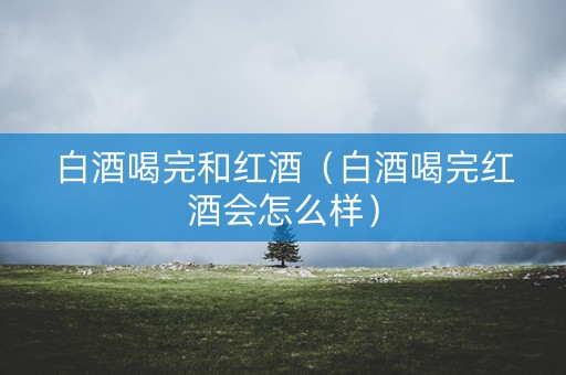 白酒喝完和红酒（白酒喝完红酒会怎么样）
