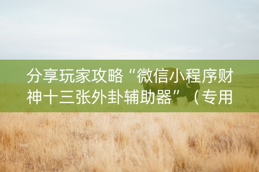 分享玩家攻略“微信小程序财神十三张外卦辅助器”（专用神器下载)
