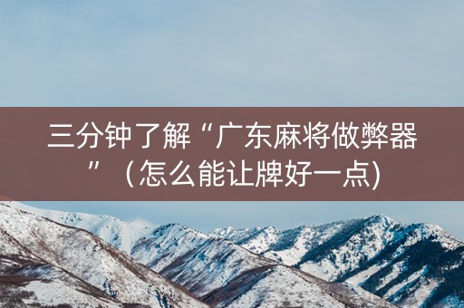 三分钟了解“广东麻将做弊器”（怎么能让牌好一点)
