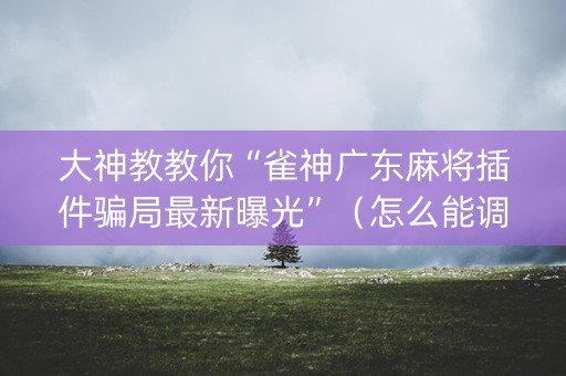 大神教教你“雀神广东麻将插件骗局最新曝光”（怎么能调好牌)