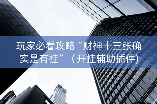 玩家必看攻略“财神十三张确实是有挂”（开挂辅助插件)