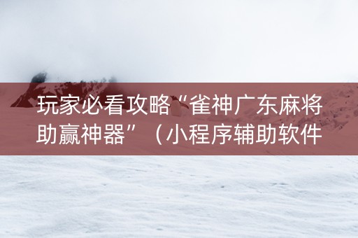 玩家必看攻略“雀神广东麻将助赢神器”（小程序辅助软件)