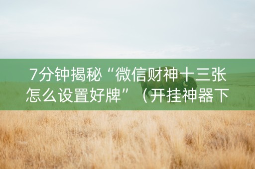 7分钟揭秘“微信财神十三张怎么设置好牌”（开挂神器下载)