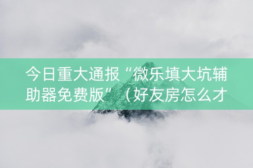 今日重大通报“微乐填大坑辅助器免费版”（好友房怎么才能赢)