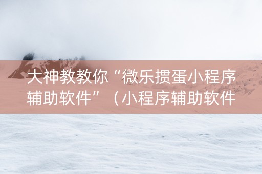 大神教教你“微乐掼蛋小程序辅助软件”（小程序辅助软件)