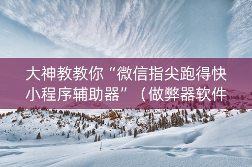 大神教教你“微信指尖跑得快小程序辅助器”（做弊器软件下载)