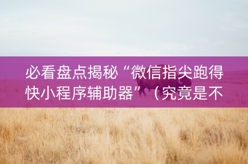 必看盘点揭秘“微信指尖跑得快小程序辅助器”（究竟是不是有挂)