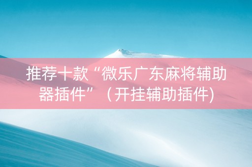 推荐十款“微乐广东麻将辅助器插件”（开挂辅助插件)