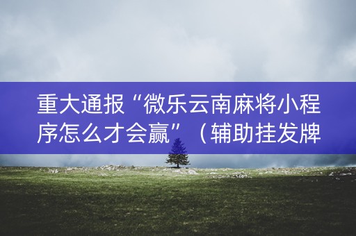 重大通报“微乐云南麻将小程序怎么才会赢”（辅助挂发牌规律)