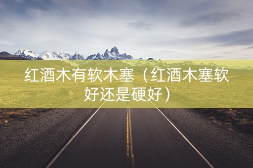 红酒木有软木塞（红酒木塞软好还是硬好）