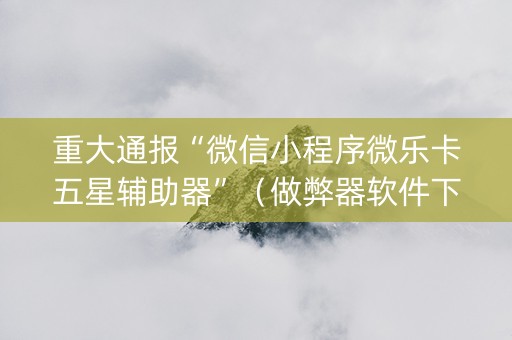 重大通报“微信小程序微乐卡五星辅助器”（做弊器软件下载)