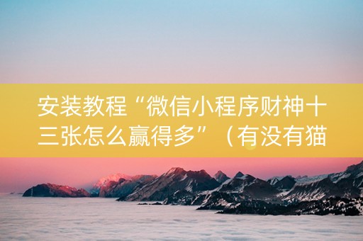 安装教程“微信小程序财神十三张怎么赢得多”（有没有猫腻)